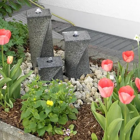Privatpension Schels